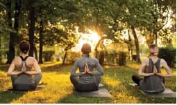 Yoga Zone