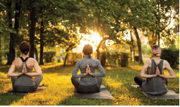Yoga Zone