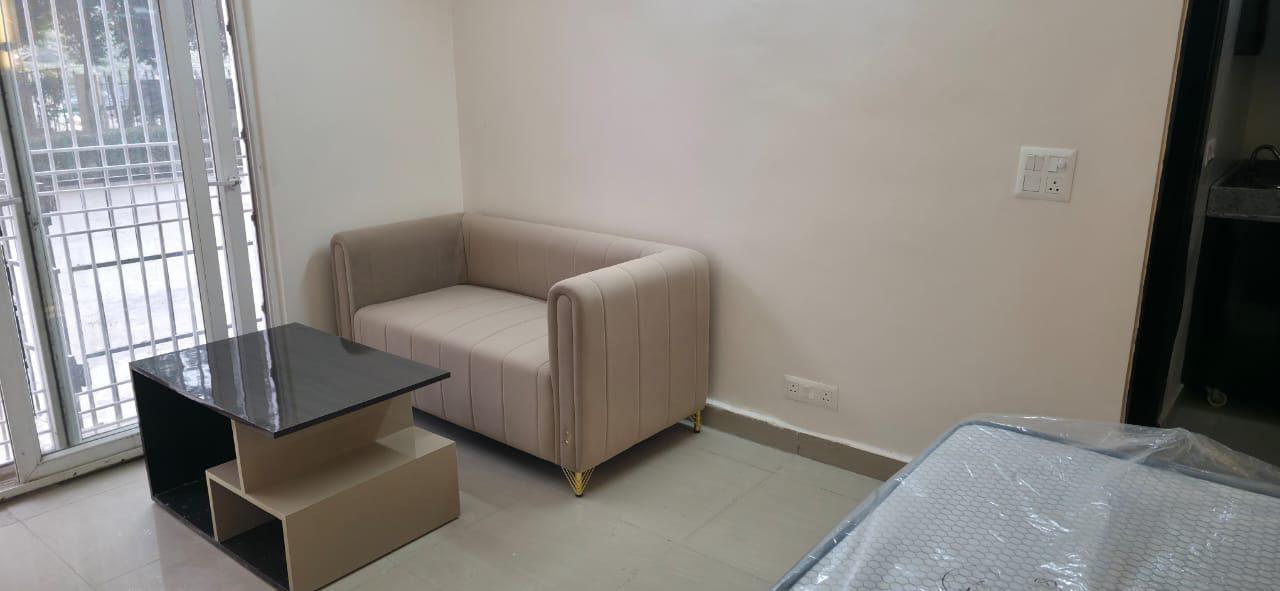 1rk fully furnished sector 119 noida