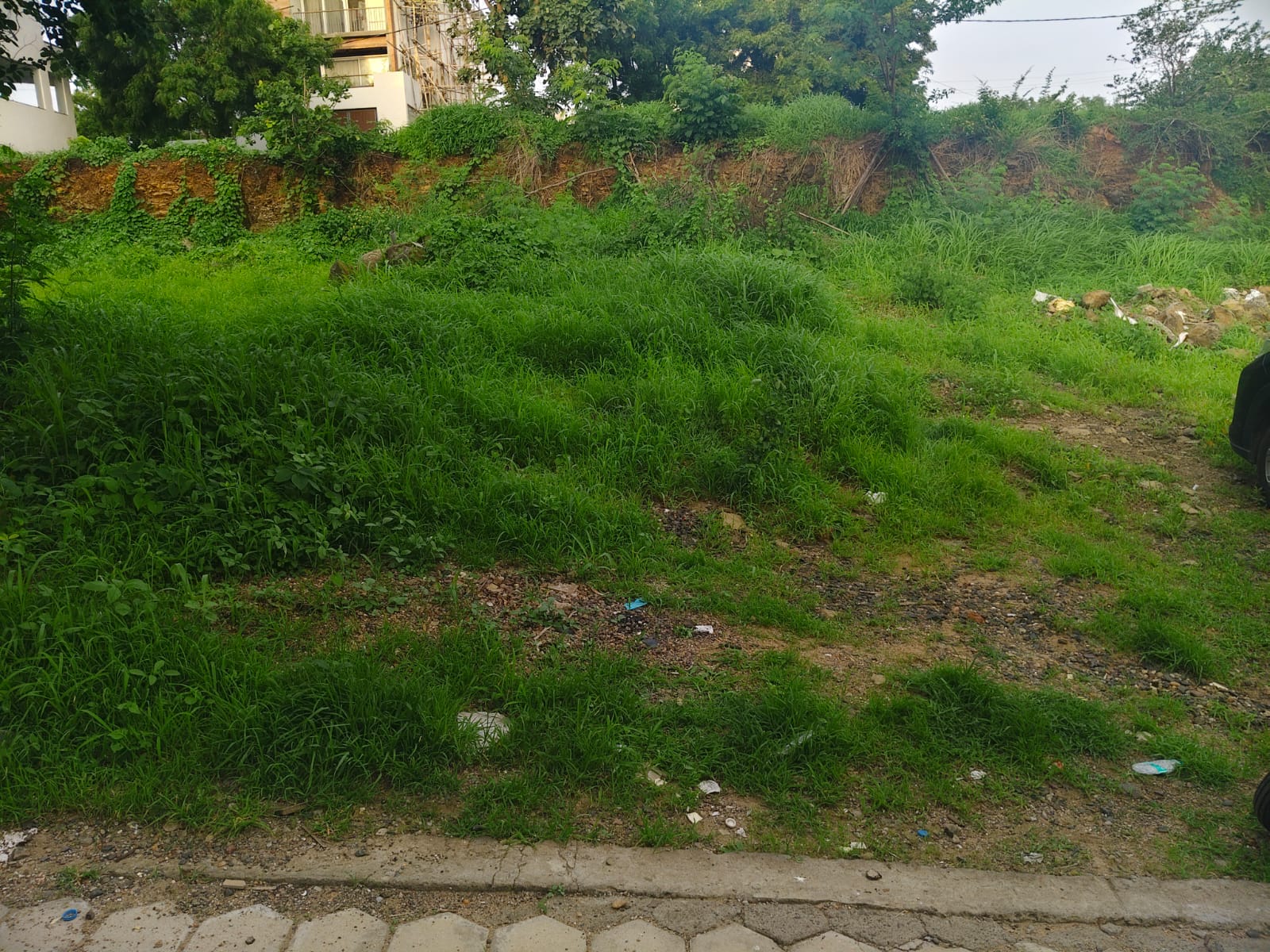 Verma Property